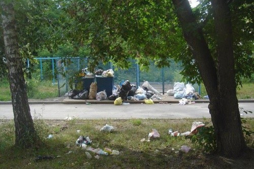 Благодаря мироновскому Центру улицы мурманского поселка очистили от мусора