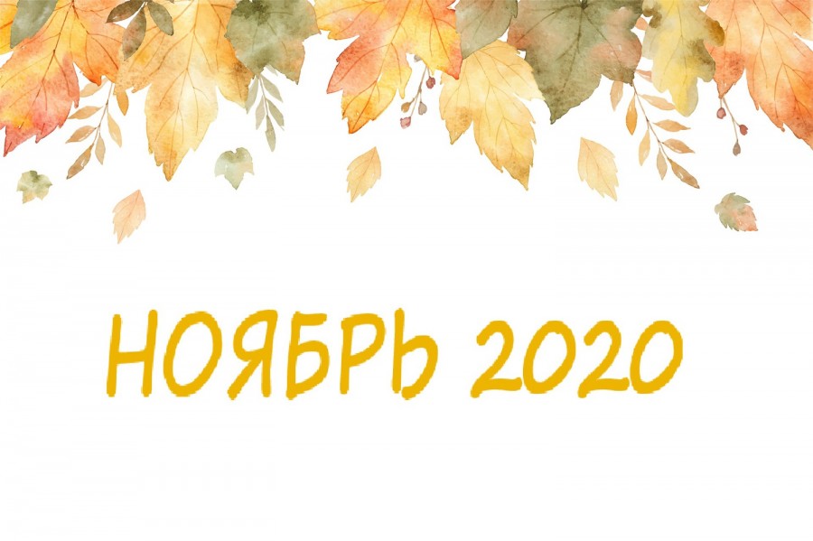 Как изменится жизнь россиян с 1 ноября 2020