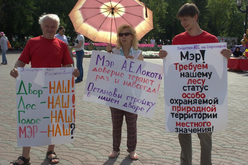 Уникальный сосновый бор спасли от уничтожения жители Новосибирска