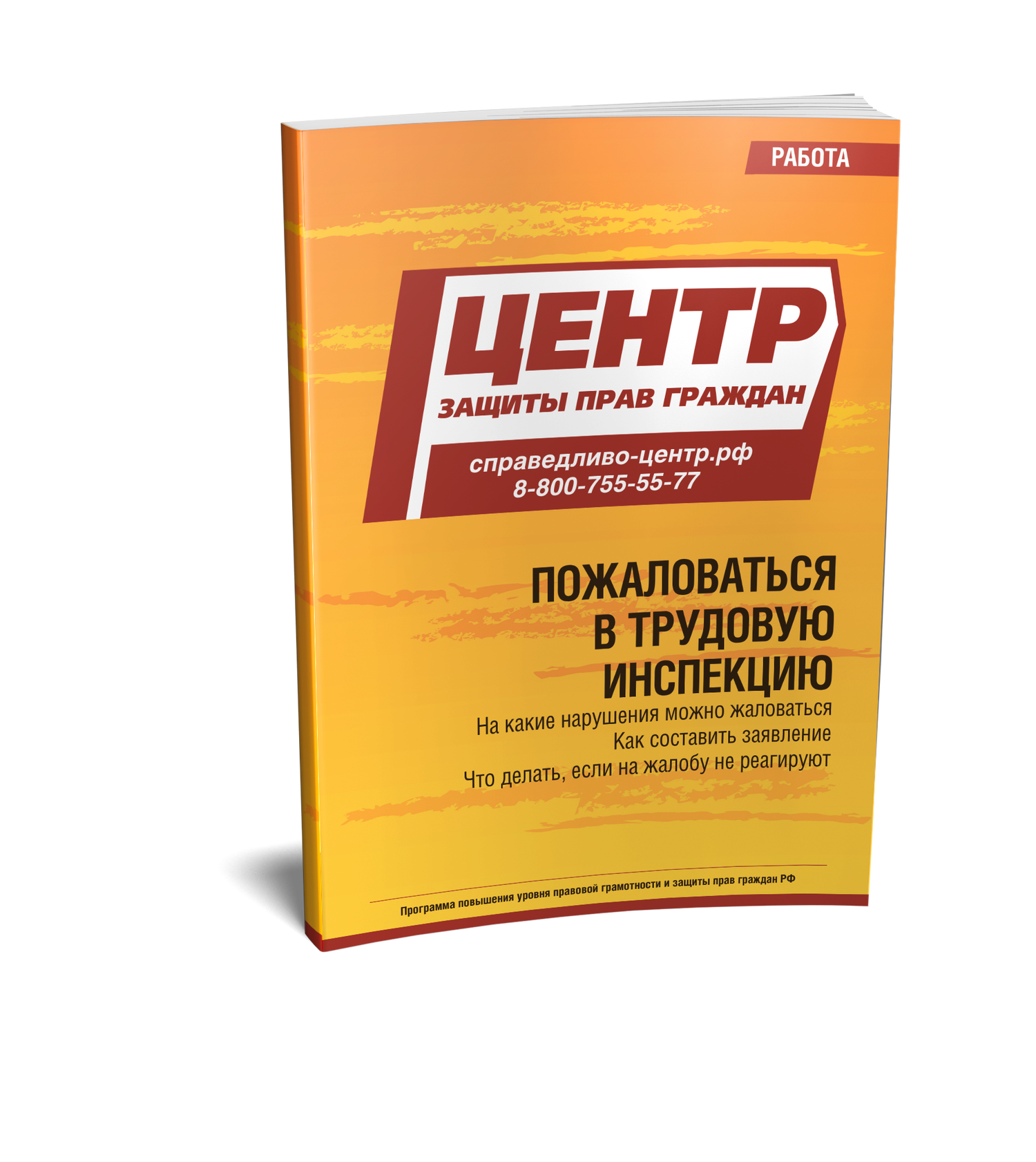 Пожаловаться в Трудовую инспекцию
