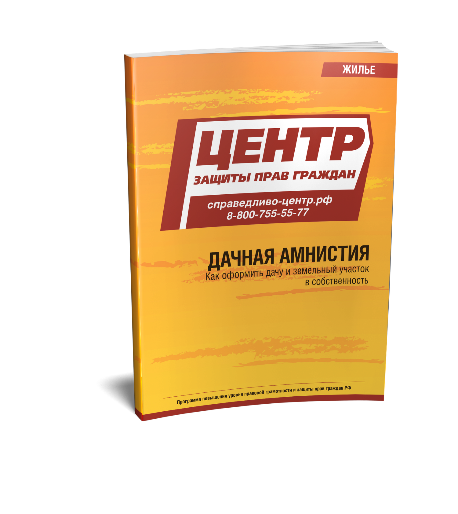 Дачная амнистия