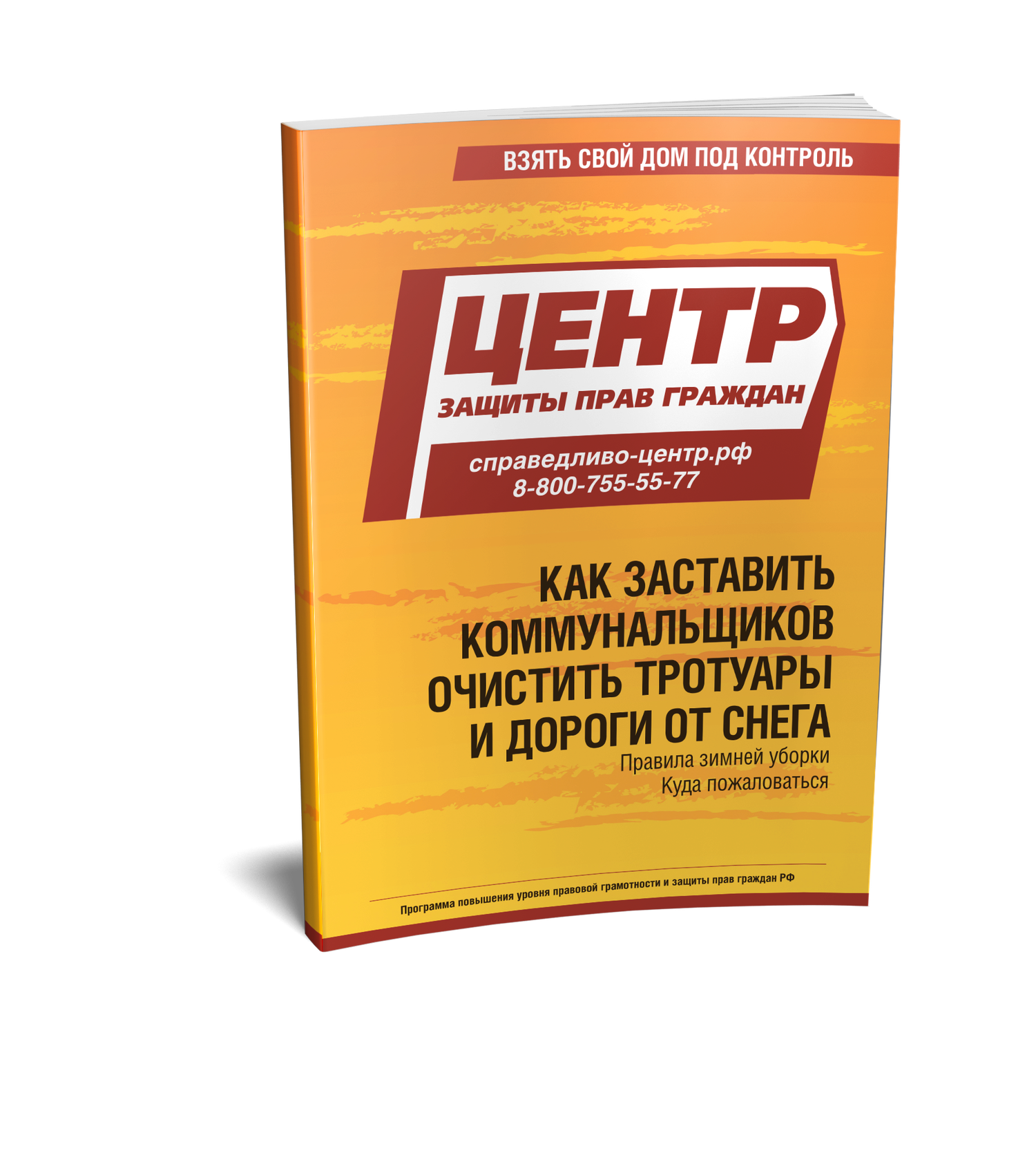 Заставить очистить тротуары и дороги от снега