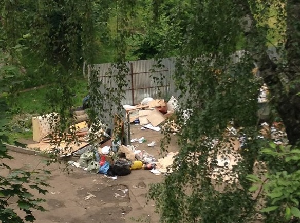 Помогли жительнице Фрязино добиться вывоза мусора