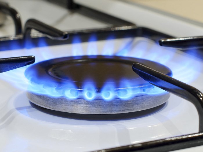 Псков: выявили нарушения при проверке газового оборудования в домах