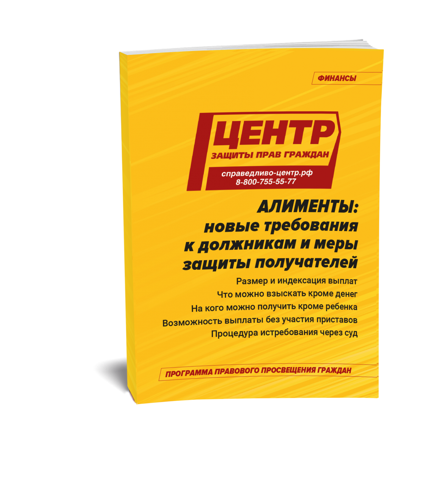 Алименты: новые требования к должникам и меры защиты получателей