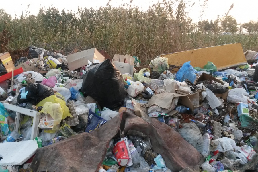 Кострома: заставили мэрию навести порядок возле ветхой постройки