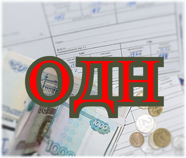 Благовещенск: Пенсионерка добилась перерасчета за электроэнергию в 2 тысячи рублей