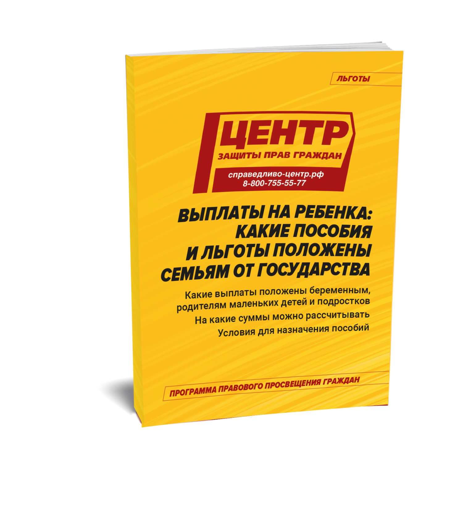 Выплаты на ребенка: какие пособия и льготы положены семьям от государства