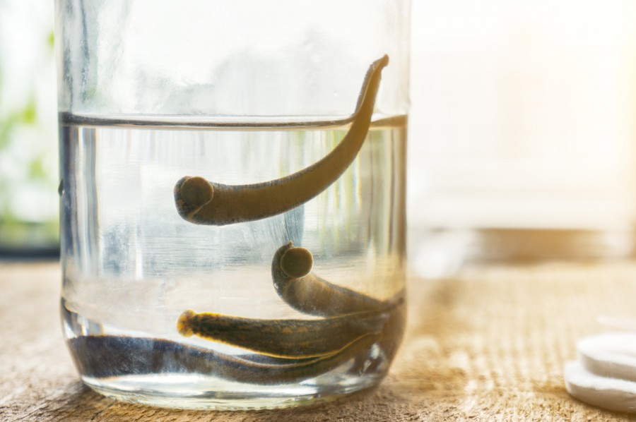 �����-���������: ����������� ��������� ������� ������� 68 800 ������ ����� ������� ��������