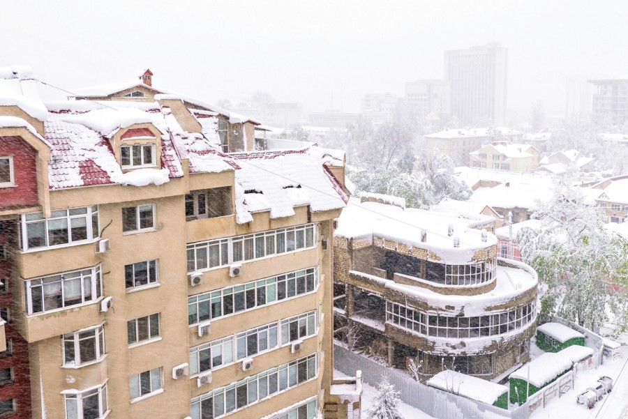 ����� ���� ����� ����������: ������� �� ������������ �� ����� � � ������