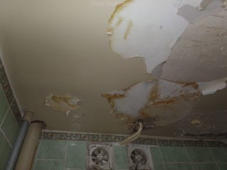 �����������: ������� ����������� �������� ��� ������ �� ����� � ��������