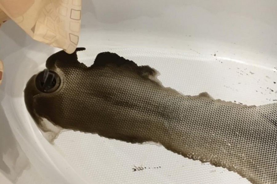 ������ ������������� ����������� ��������� ������� ������ � ������ ����