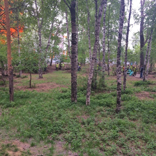 Заставили администрацию Сургута прислушаться к горожанам и убраться в парке