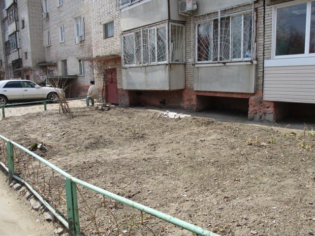 Помогли хабаровской пенсионерке добиться уборки мусора во дворе