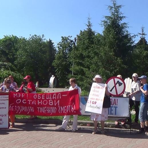 Новосибирцы против вырубки уникального соснового бора